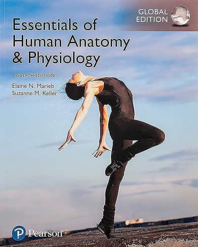 Essentials of Human Anatomy & Physiology, Global Edition 12th Edition