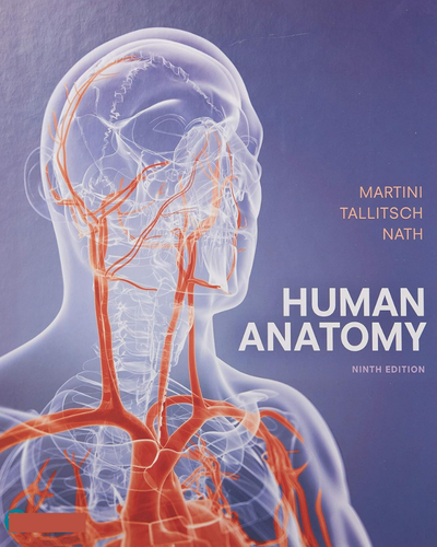 Human Anatomy 9th Edition by Martini