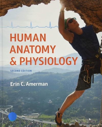 Human Anatomy and Physiology 2nd Edition