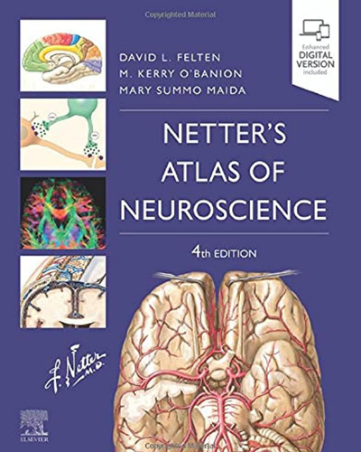 Netters-Atlas-of-Neuroscience-Netter-Basic-Science-4th-Edition