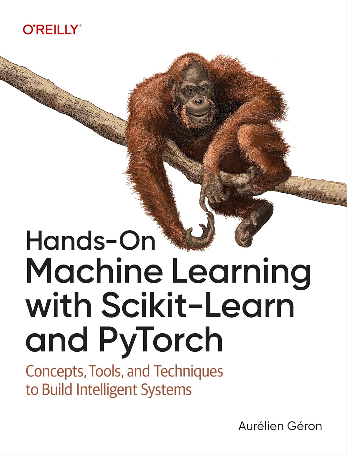 hands-on-machine-learning-with-scikit-learn-and-pytorch-concepts-tools-and-techniques-to-build-intelligent-systems