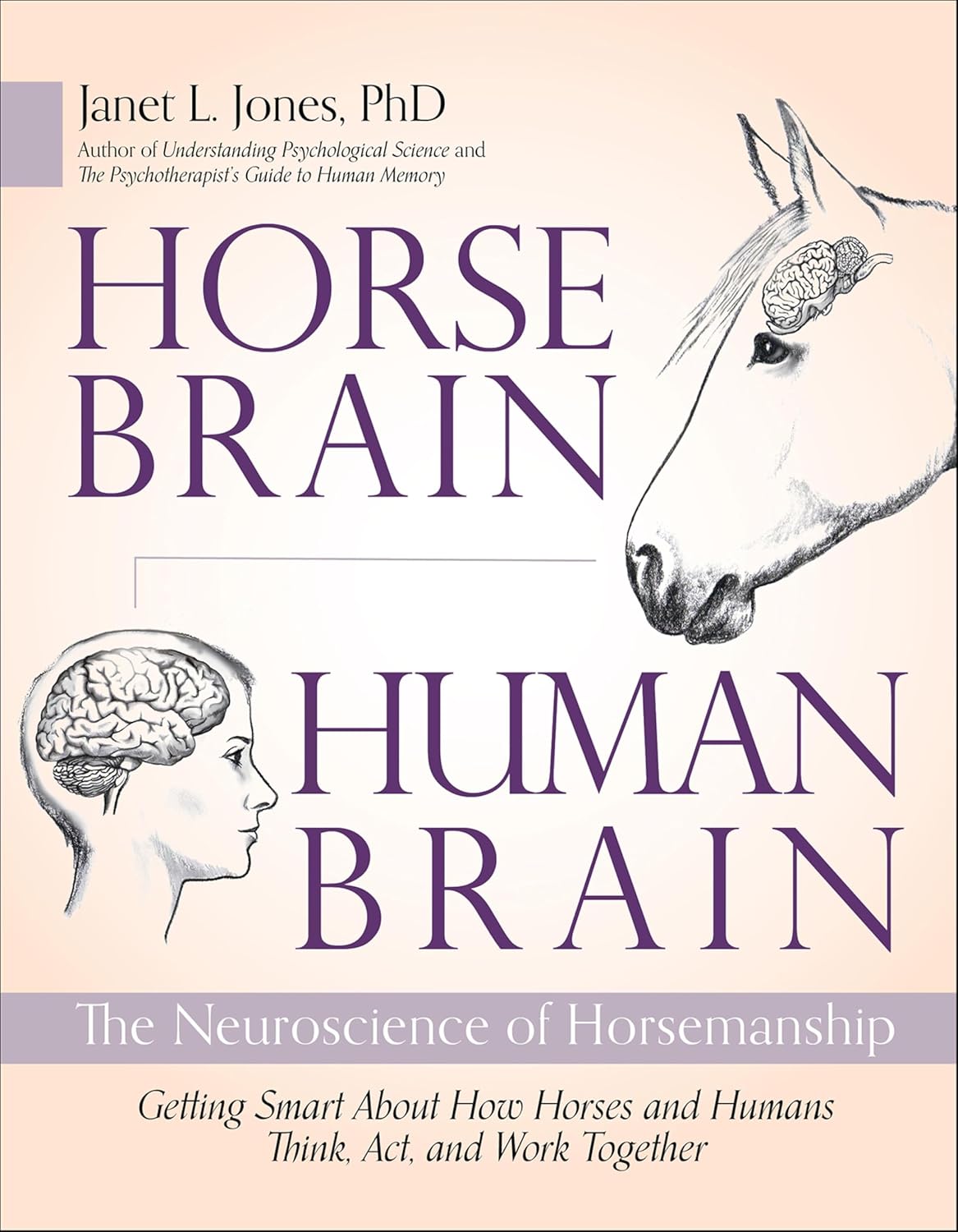 horse-brain-human-brain-the-neuroscience-of-horsemanship