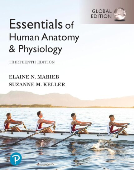 Essentials of Human Anatomy & Physiology [Global Edition]