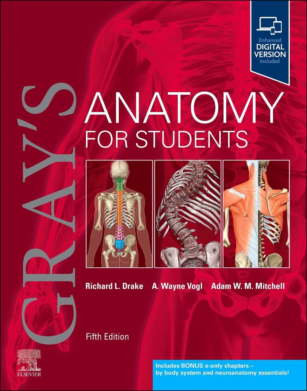gray-s-anatomy-for-students