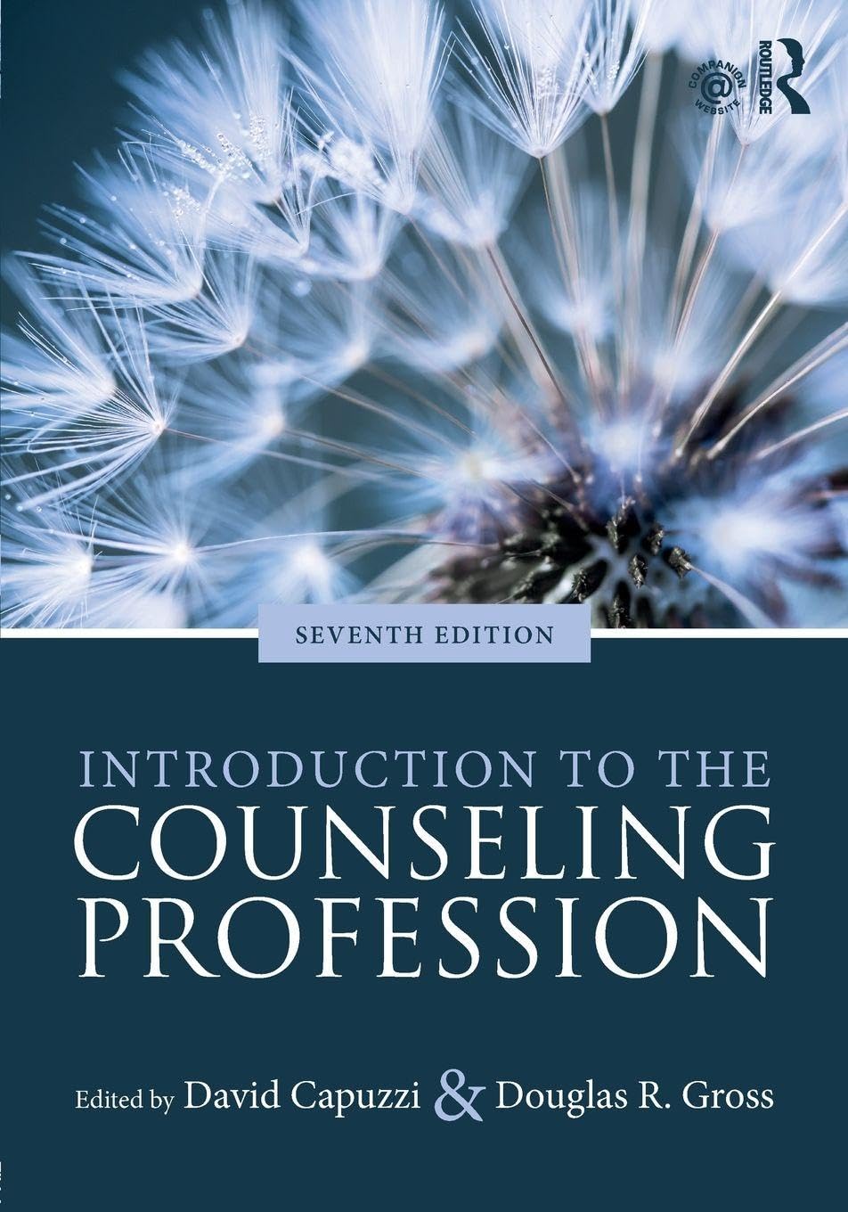 introduction-to-the-counseling-profession-978-1138684805