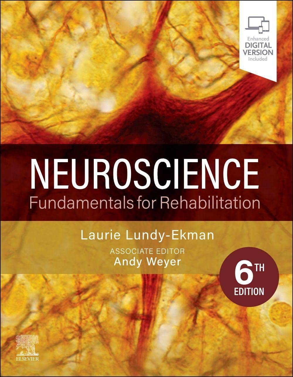 neuroscience-fundamentals-for-rehabilitation